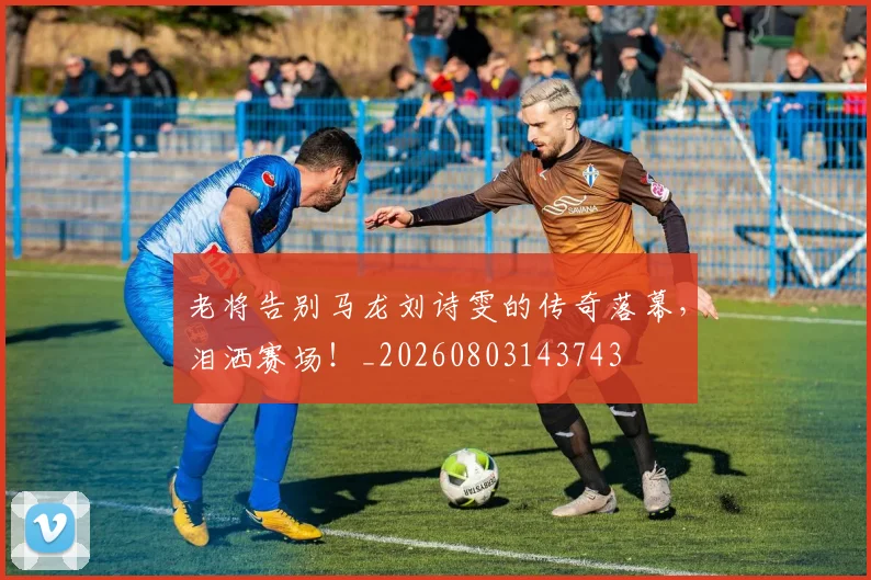 老将告别马龙刘诗雯的传奇落幕，泪洒赛场！_20260803143743