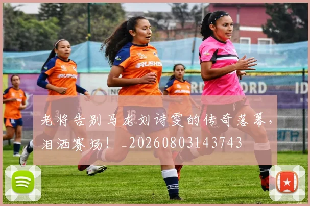 老将告别马龙刘诗雯的传奇落幕，泪洒赛场！_20260803143743